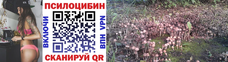 блэк спрут как войти Среднеколымск Псилоцибиновые грибы мицелий